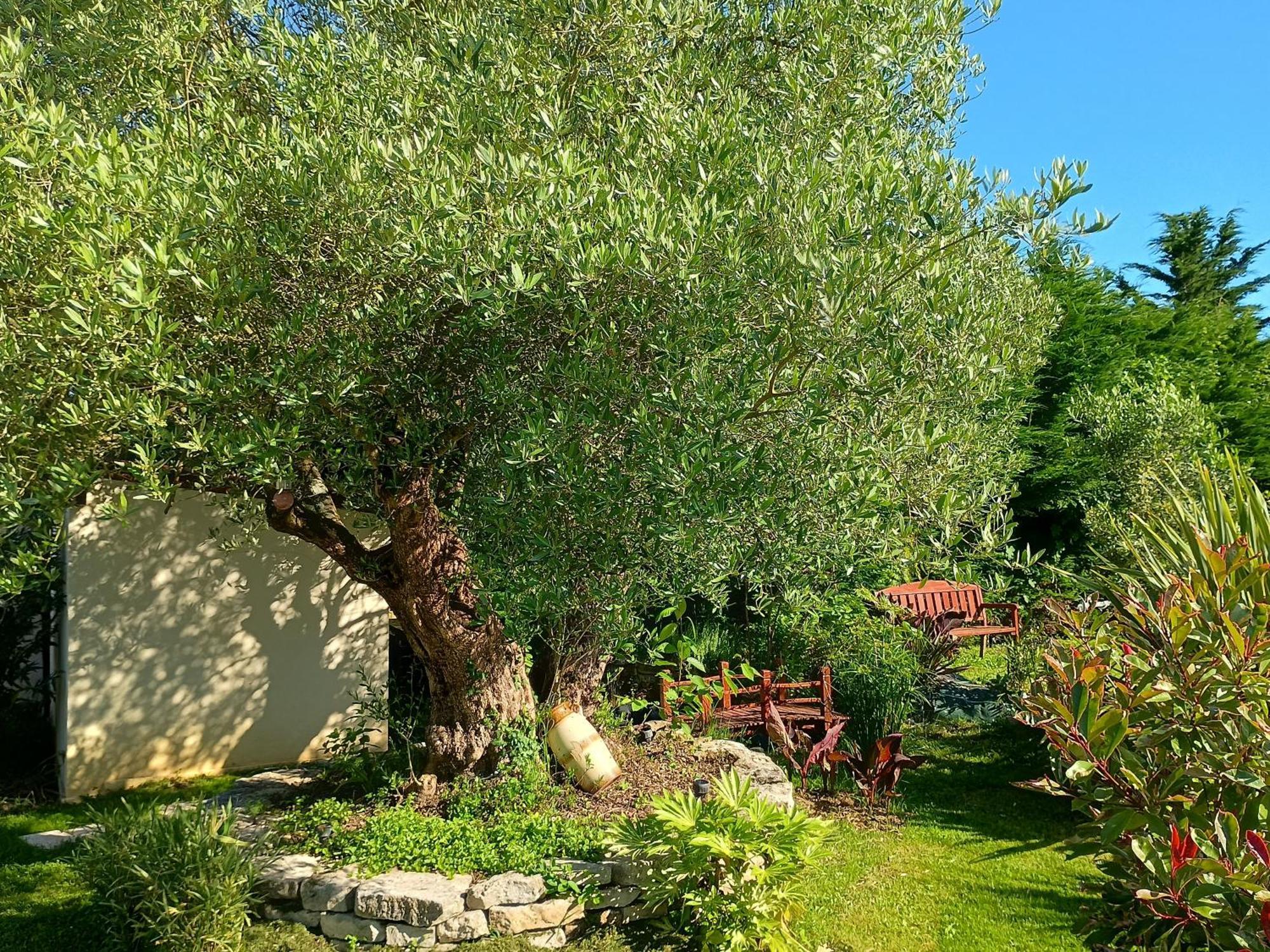 Les Figuiers Proche Puy Du Fou. Holiday home *